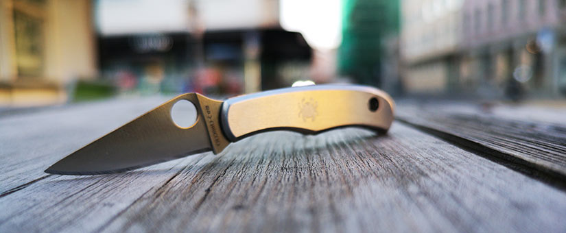 Spyderco-Bug-4